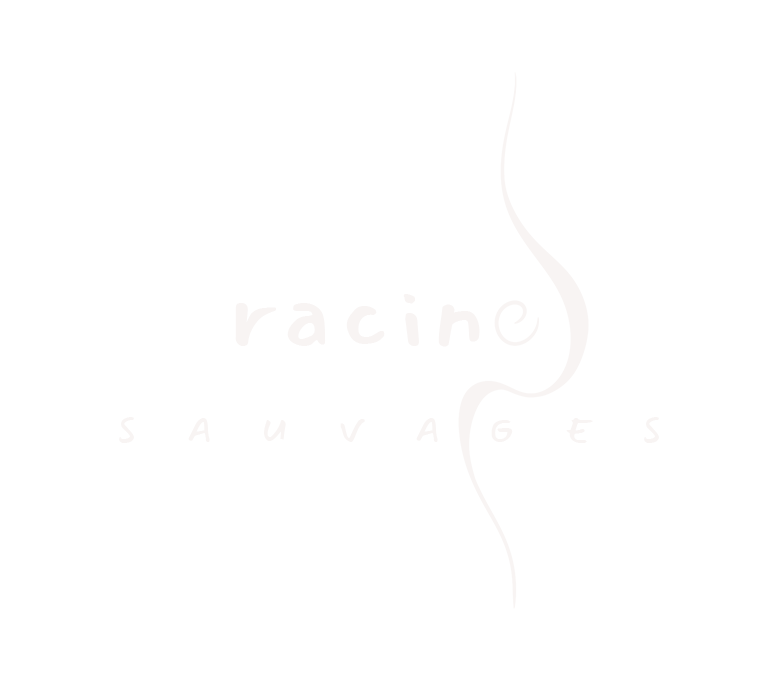 Logo_White(1) Soins sonores et ateliers voix medecine castelginest toulouse